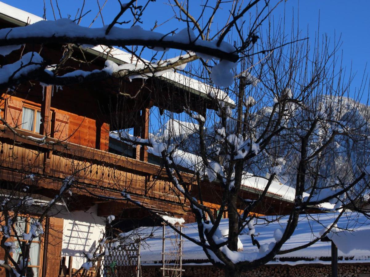 Apartamento Gaestehaus Kress - Chiemgau Karte Inzell Exterior foto